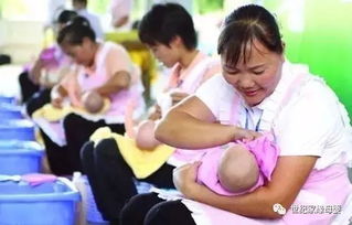 培訓 讓世紀家緣更專業(yè)