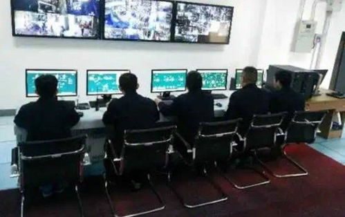 雙樂(lè)股份 以綠色工廠與核心產(chǎn)品引領(lǐng)行業(yè)發(fā)展