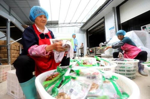 吉安安福縣竹筍加工產(chǎn)業(yè) 助農(nóng)家門(mén)口就業(yè)增收與鳳凰網(wǎng)江西高級(jí)催乳師計(jì)劃的融合之路